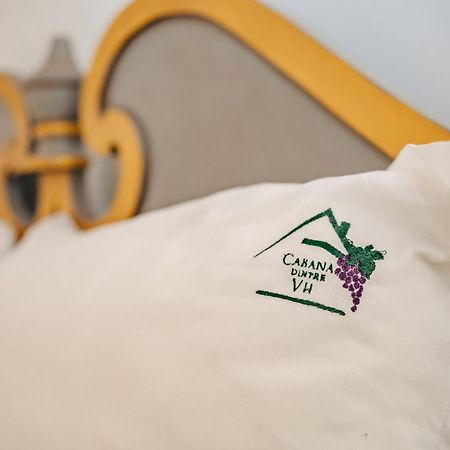 Cabana Dintre VII Apoldu de Sus Dış mekan fotoğraf